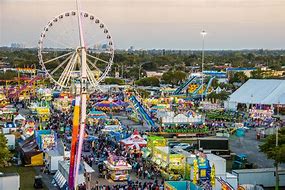 fair sex
